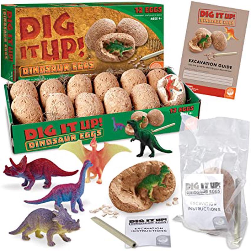 Dig It Up: Dinosaur Eggs