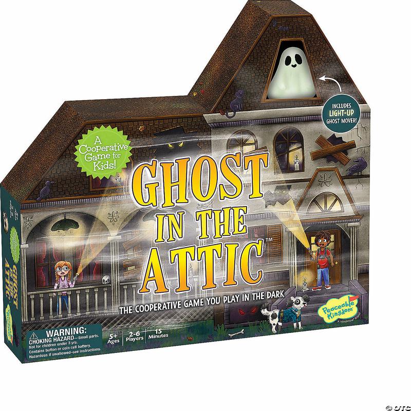 Ghost in the Attic